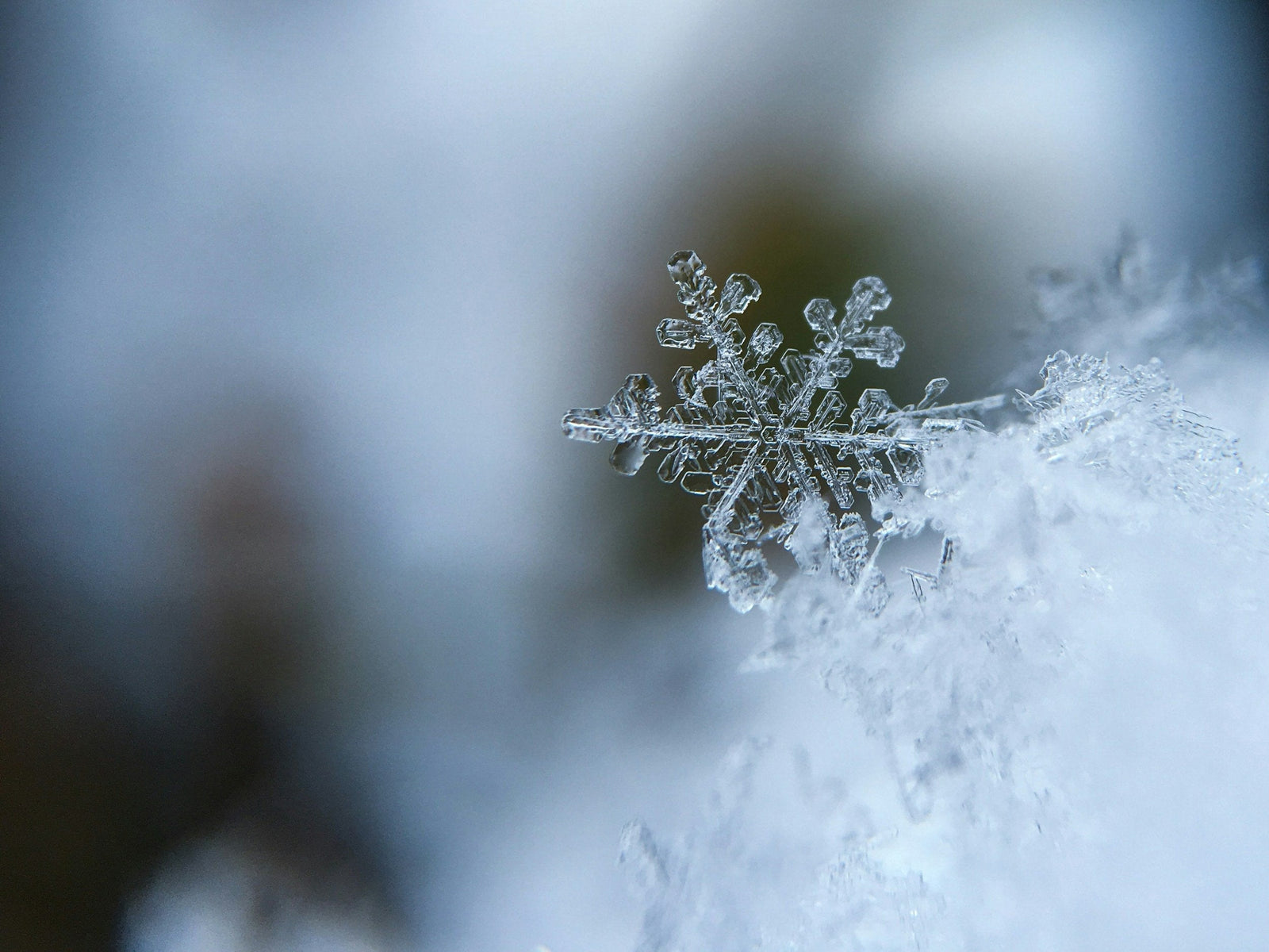 How to Combat Dry Winter Skin: A Skincare Expert's Guide